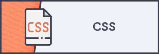 What is CSS?