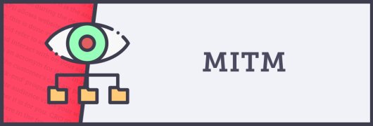What does MITM mean?